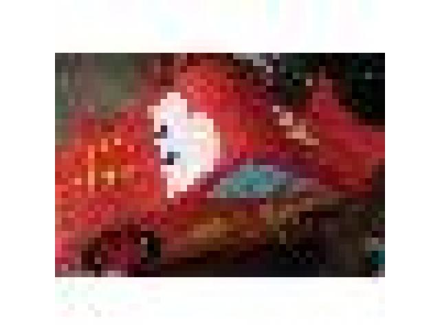 FIESTAMANIA ofrece una gran variedad de artìcul..