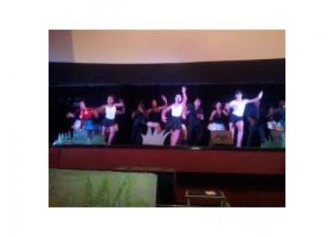 Somos una compañia de baile que trabajamos con ..