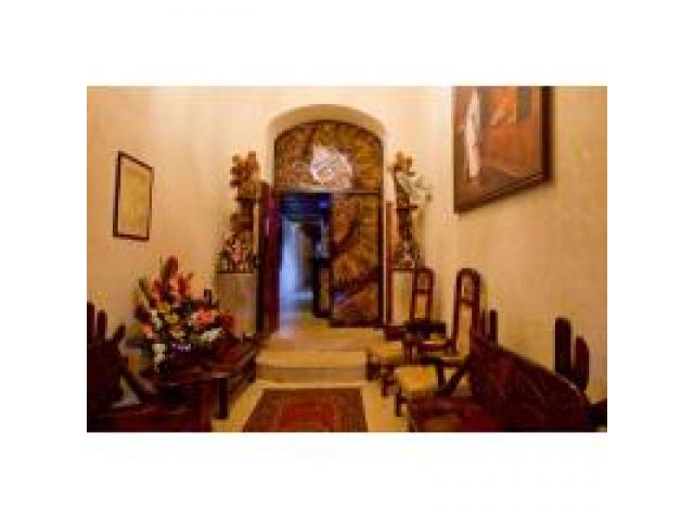 Para muchos Mimosa es un proyecto nacido en dici..