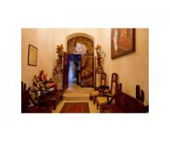 Para muchos Mimosa es un proyecto nacido en dici..