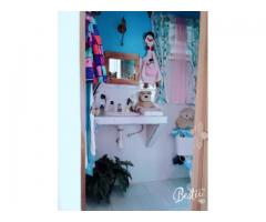 SE VENDEN 2 APARTAMENTOS BIPLANTAS EN PLAYA