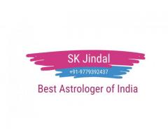 Famous astrologer Lal Kitab Vedic+91-9779392437