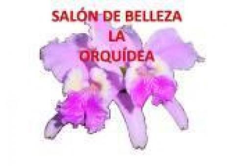 Le ofrecemos la mejor calidad de servicios con p..