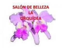 Le ofrecemos la mejor calidad de servicios con p..