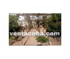 Vivienda de una sola planta (placa libre) constr..