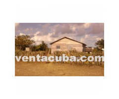 Terreno en meliya pesquero tiene una casita no s..