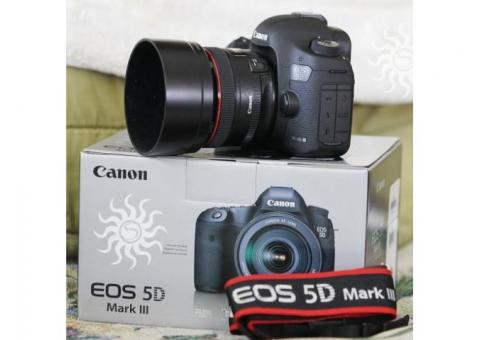 Canon EOS 5D Mark III con EF 24-105mm IS lente