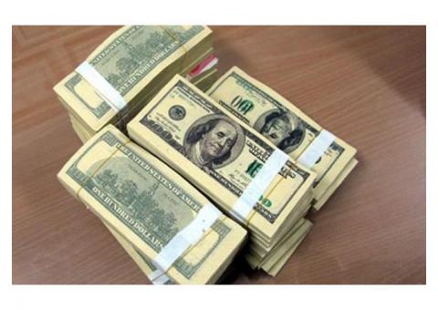 Ofrecer crédito en dinero a todos.