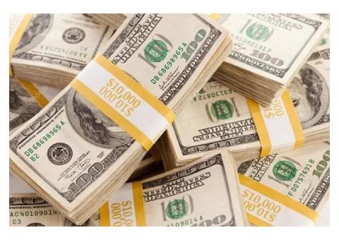 Proveemos nuestros préstamos e inversiones a personas honestas.