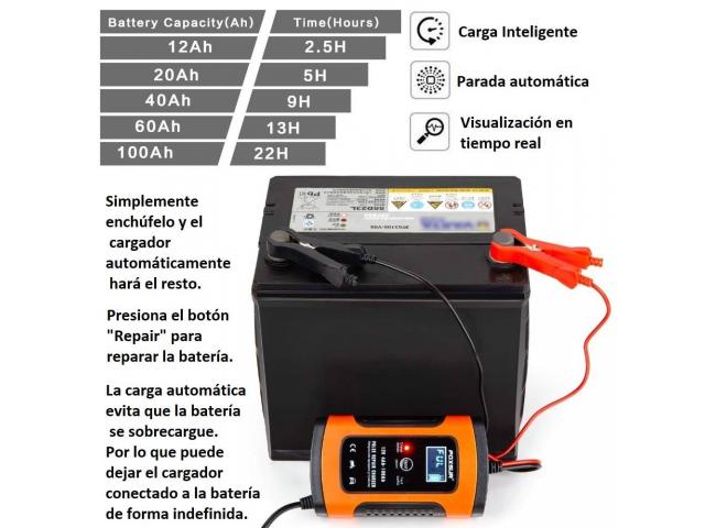 Cargador inteligente para baterías 12v desde 4Ah a 100Ah 60cuc 52541827