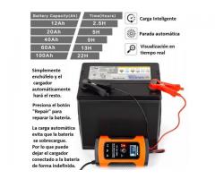 Cargador inteligente para baterías 12v desde 4Ah a 100Ah 60cuc 52541827