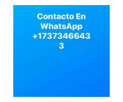 Apple iPhone 11 Pro Max 256GB Unlocked == $900