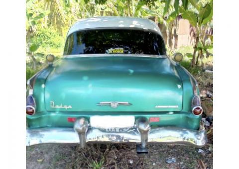Dodge 1954