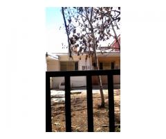 Venta de casa toda placa, libre, mat de construccion solido y gran patio