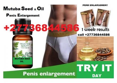 Penis Enlargement Herbal Oil +27736844586