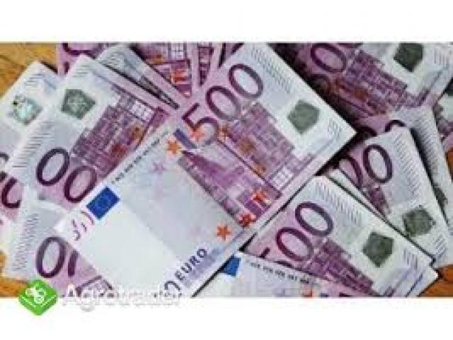 PASKOLOS PASIŪLYMAS VISOSE KATEGORIJOSE