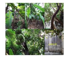 Casa independiente de 525m2 en Santo Suarez, Figueroa y Santa Catalina La Habana.