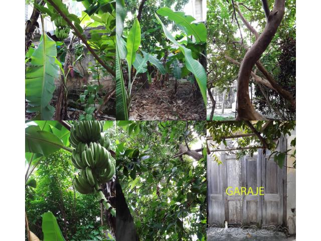 Casa independiente de 525m2 en Santo Suarez, Figueroa y Santa Catalina La Habana.