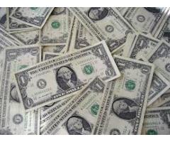 Una buena oportunidad para la fiesta de fin de año