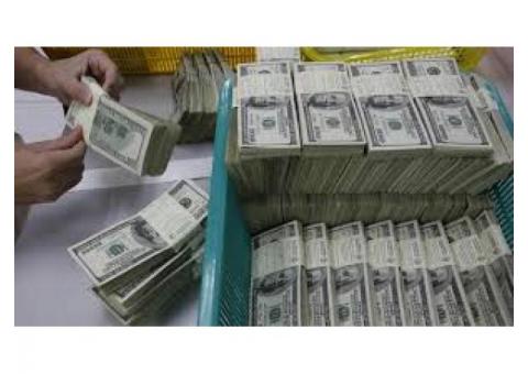 REALICE SUS PROYECTOS