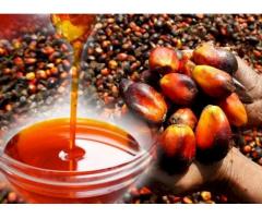 aceite de palma y aceite de girasol