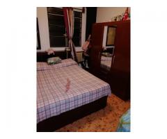 Vendo apto de 1/4 En el vedado plaza 2 piso no tiene balcón a la calle