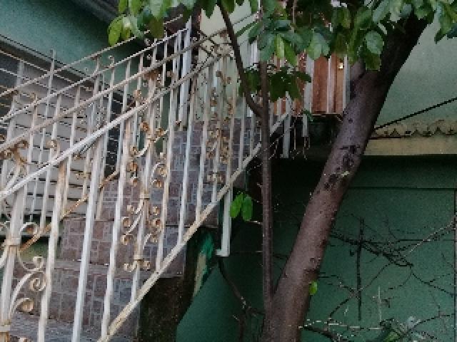 Vendo casa independiente totalmente de 4/4 En reparto residencial palatino