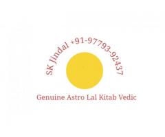 Lost love back Spells Specialist+91-9779392437