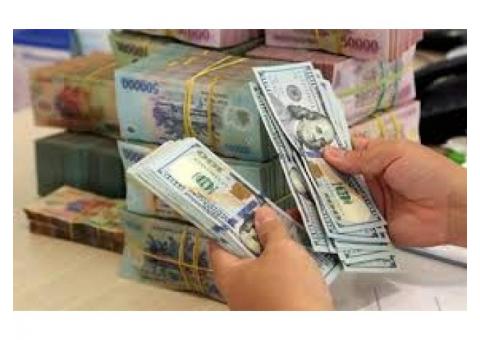 La ayuda y la asistencia financiera