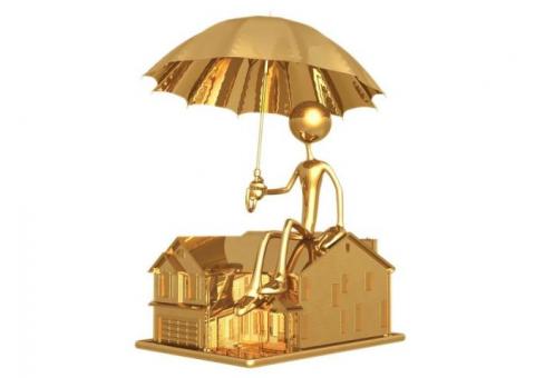 Asistencia social multi-divisional